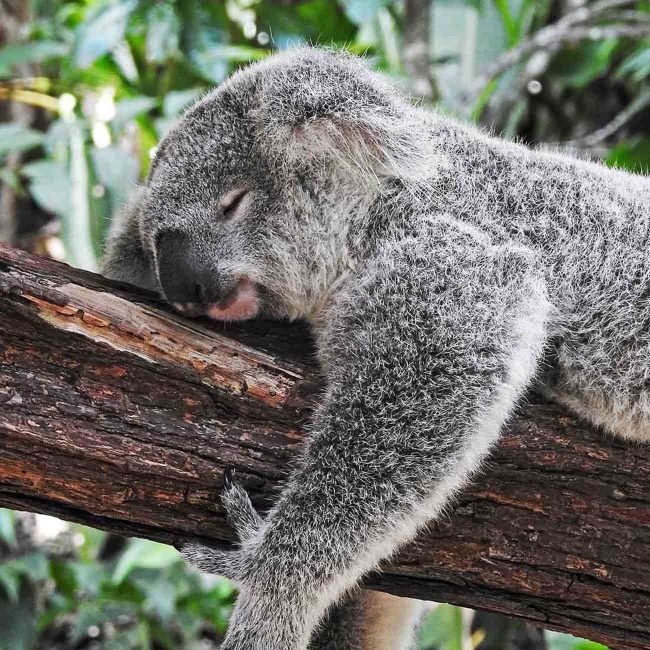 tour and travel service