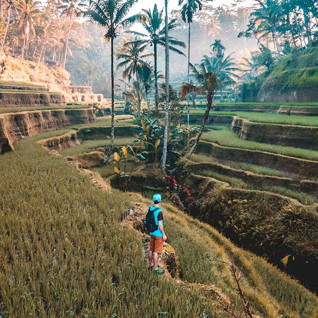 tour and travel service