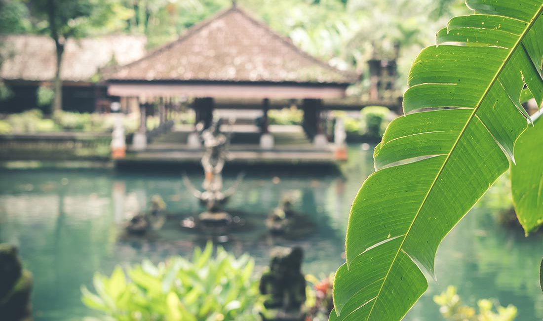 destination wedding organizer